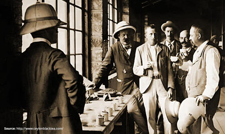 Early 20th-century tea tasters and planters sampling Ceylon tea at a trading house